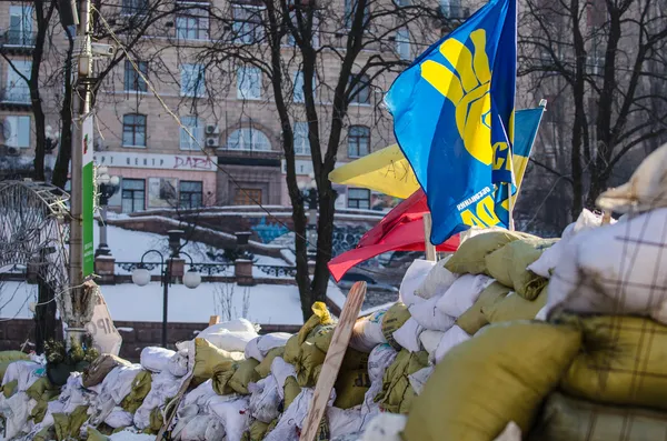 Protestos de Maidan em 31 de janeiro de 2014 em Kiev, Ucrânia — Fotografia de Stock