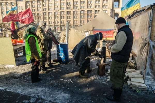 Maidan protests on 31 January 2014 in Kiev, Ukraine — Stock Photo, Image