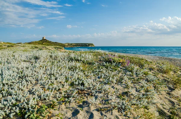 Solnedgång i san giovanni di sinis, Sardinien, Italien. — Stockfoto