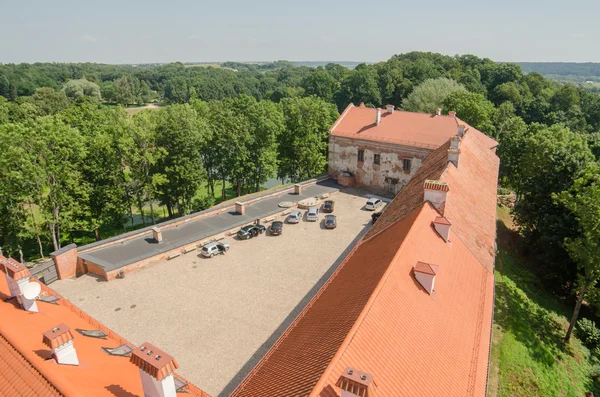 Kasteel in panemune, Litouwen — Stockfoto