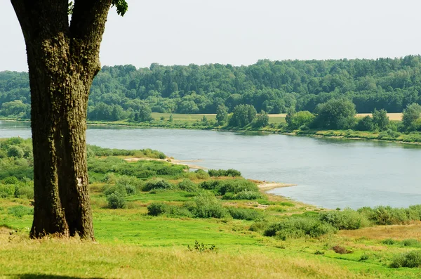 Nemunas river in Lithuania — Stock Photo, Image