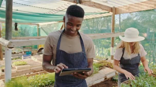 Agricoltori afroamericani di sesso maschile e femminile che lavorano in serra digitando su tablet digitale — Video Stock