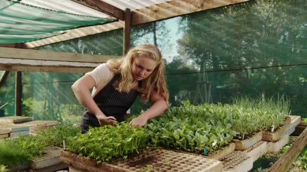 Jardinage féminin caucasien en serre — Video