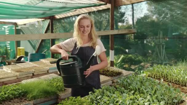 Blanke vrouwelijke landbouwer die gewassen oogst die planten water geven — Stockvideo