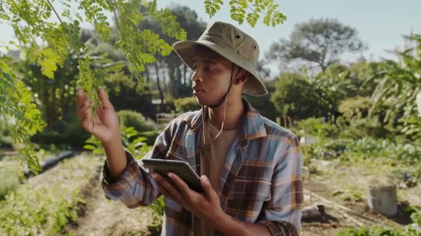 Afro-Américain mâle tapant sur tablette numérique tout en jardinant à l'extérieur — Video
