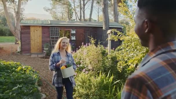 Exploitants mixtes masculins et féminins travaillant à l'extérieur dans un potager — Video