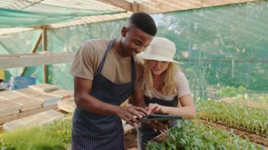 Yeşil evde çalışan melez çiftçiler dijital tablet araştırma tesislerine bakıyor.