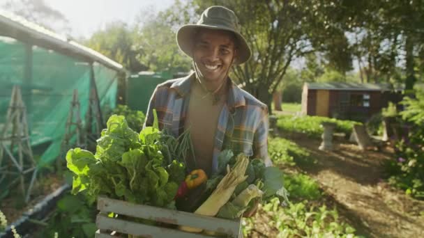 Vegyes verseny férfi farmer dolgozik a szabadban hordozó növényi kosár mosolygós — Stock videók
