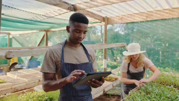 Blandad ras par arbetar i växthus vattning växter skriva på digital tablett — Stockvideo