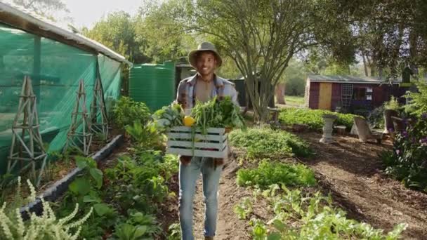 Мужчина-фермер смешанной расы работает на открытом воздухе, перевозя овощную корзину в фермерской шляпе — стоковое видео