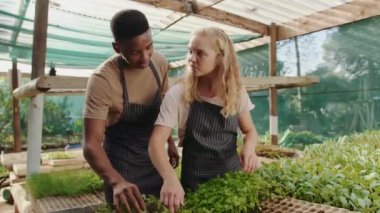 Karışık ırk erkek ve kadın çifti yeşil evde birlikte çalışıyor. 