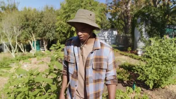 Gemengde race mannelijke boer werken in moestuin buiten huis — Stockvideo
