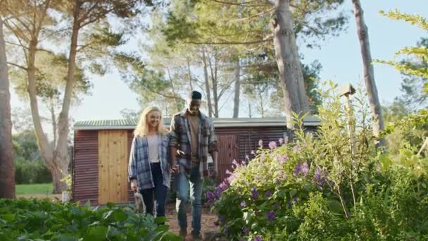 混合レース男性と女性の農家のカップル屋外を歩く木製のコテージを渡されます — ストック動画
