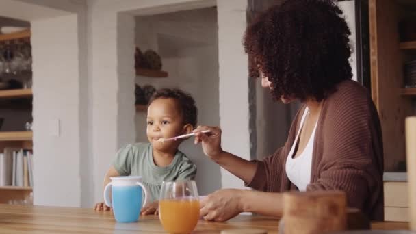 Biracial mother feeding young daughter breakfast at high counter top in modern-styled kitchen — Stock Video