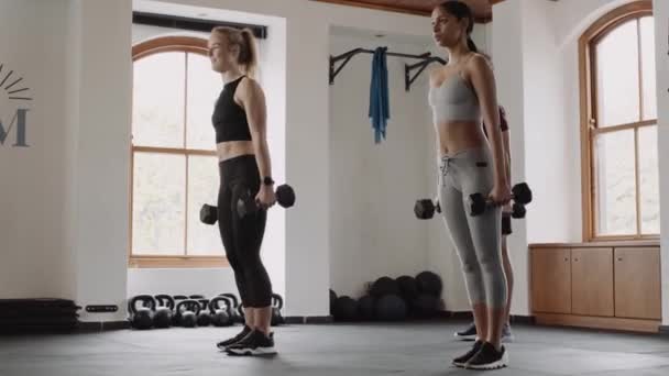 Grupp Olika Friska Vänner Som Tränar Tillsammans Gym Inomhus Lungor — Stockvideo