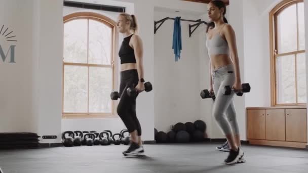 Group Diverse Fit Friends Exercising Together Indoor Fitness Gym Lunges — Vídeo de Stock