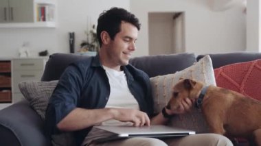 Caucasian man playing with pet dog while sitting on couch at home after finishing work on his laptop. High quality 4k footage