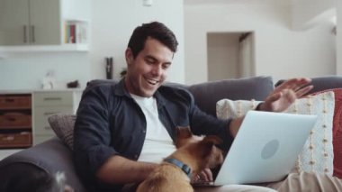 Caucasian man stops working on laptop and gives pet dogs treats while sitting on couch at home. High quality 4k footage