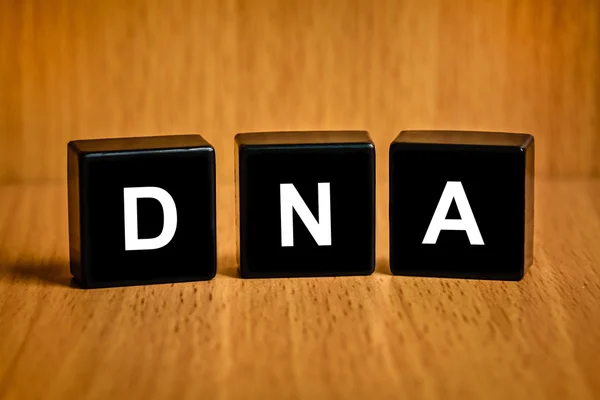 Deoxyribonucleic acid or DNA word on black block — Stock Photo, Image