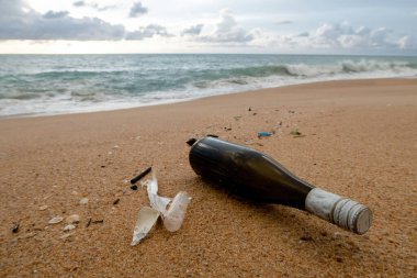 Çevre sorunları kavramı, şişeler ve çöpler deniz kenarında yatıyor..