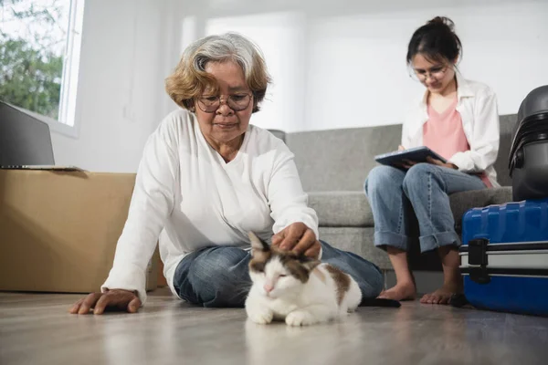Home move living room concept, Asian elderly woman lovingly catching a cat.