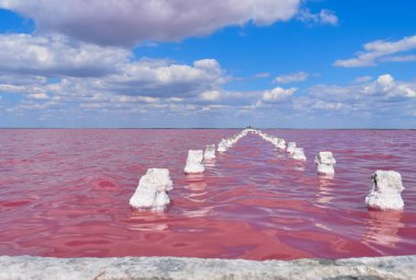 Pembe tuz gölü Sasyk-Sivash