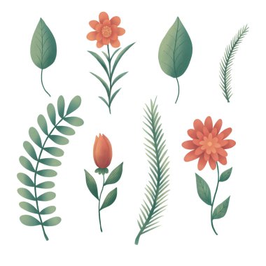 Dekoratif çiçek unsurlarıyla tırman. Beyaz arka planda izole edilmiş. Resimlerin kenarının doğru işlemesi.