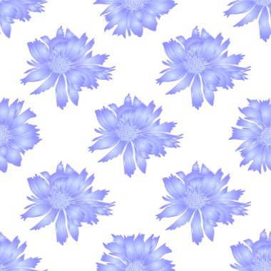 Mor çiçeklerle kusursuz desen. Chicory dekoratif çiçek deseni.