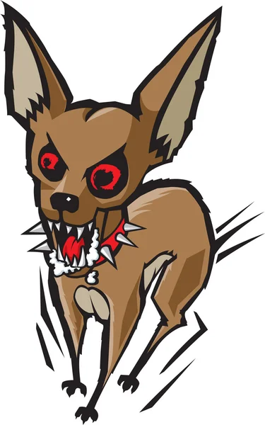 Loco Chihuahua — Stockvector