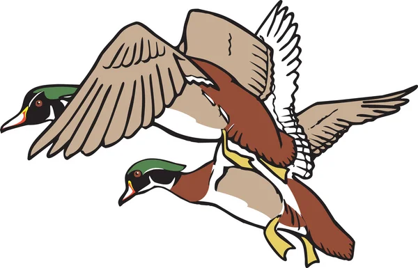 Ducks in flight Royalty Free Stock Illustrations