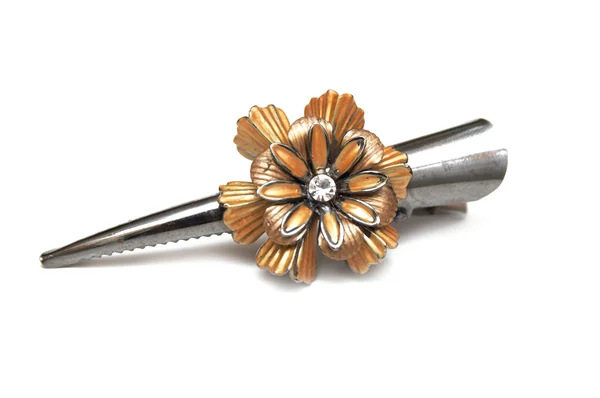 Hair-pin — Stock Photo, Image