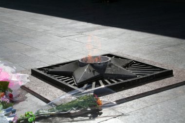 eternal flame yakınındaki çiçek