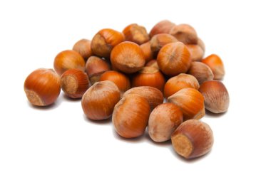 fındık üzerinde beyaz izole