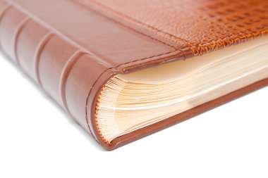 Timsah kapaklı kitap