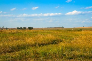 Mavi gökyüzünün altında sonbahar tarlası