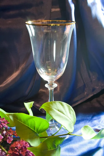 Vine glass — Stock Photo, Image