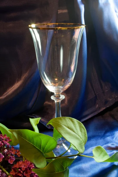 Vine glass — Stock Photo, Image