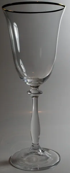 Vine glass — Zdjęcie stockowe