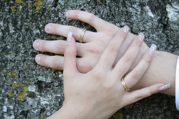 Mãos de noivo e noiva — Fotografia de Stock