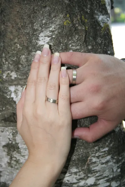 Brud och brudgum händer — Stockfoto