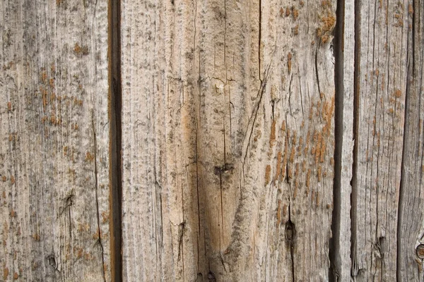 Fondo de valla de madera — Foto de Stock