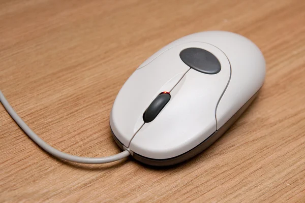 Computer mouse — Stock Photo, Image