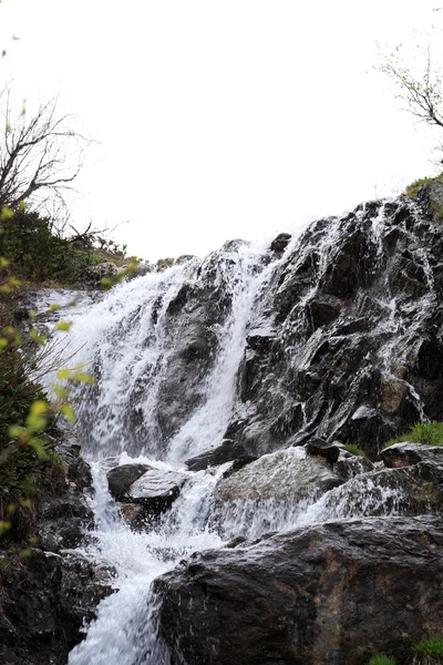 Fiume in montagna — Foto Stock