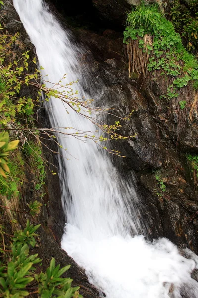 Fiume in montagna — Foto Stock