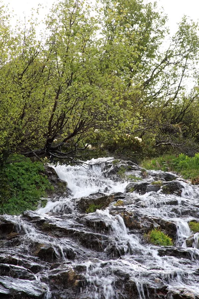 Fiume in montagna — Foto Stock