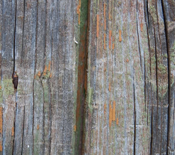 古い木製の表面 — ストック写真