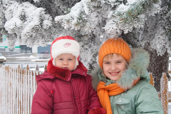 Twee jonge meisjes — Stockfoto