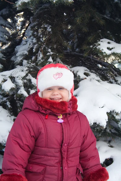 Niña pequeña cerca de abeto nevado —  Fotos de Stock