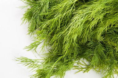 beyaz zemin üzerine taze maydanoz isoleted bir demet