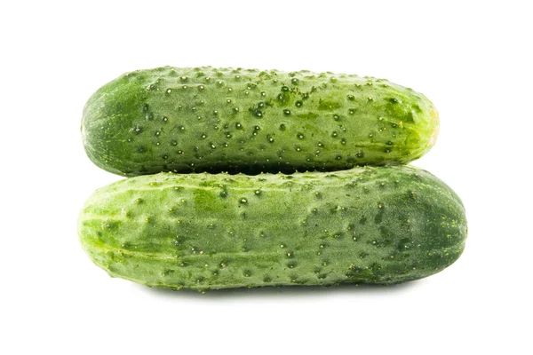 Ripe cucumber isolated on white background — Stock Photo, Image